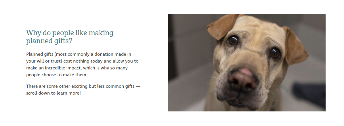 Screenshot of a planned giving site that demonstrates how to effectively introduce planned giving to donors